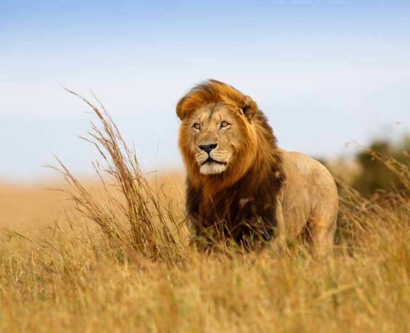 1681283660_6d78a83ed0752577b8b9