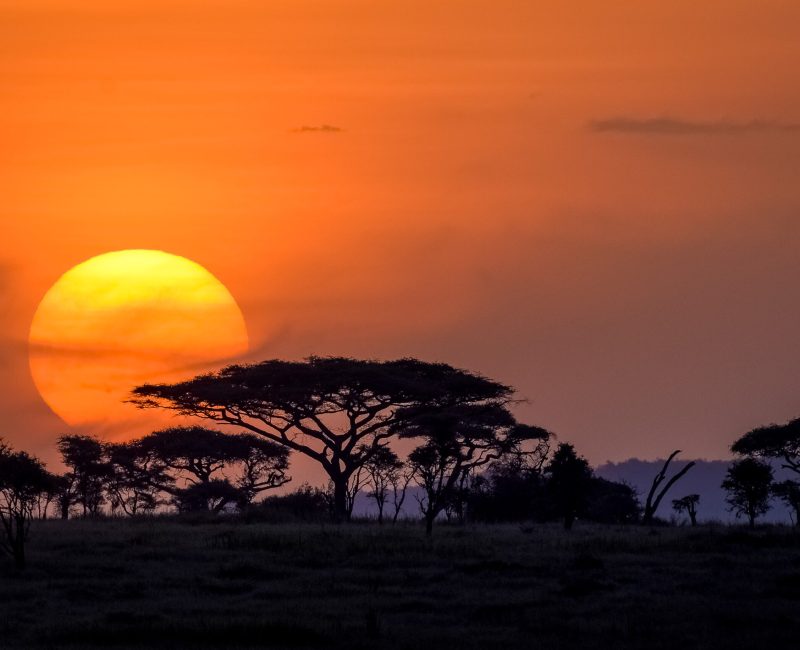 Serengeti_sunset-1001-1