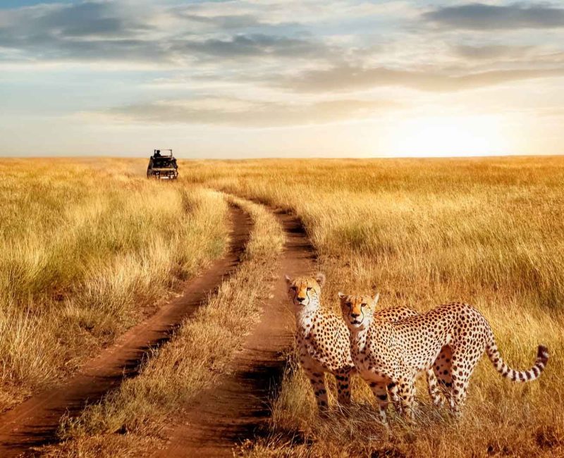 e7636d2be5e1edef3f8c3756db7fe4d5df583879-1600x1067