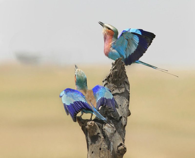 easy-travel-tours-ltd